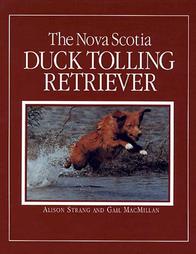 Nova Scotia Duck Tolling Retriever