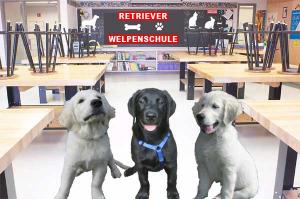 RetrieverSchule