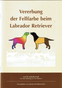 Vererbund der Fellfarbe beim Labrador Retriever