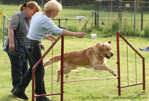 Agility mit Astrid