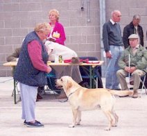 Poolstead-Labi